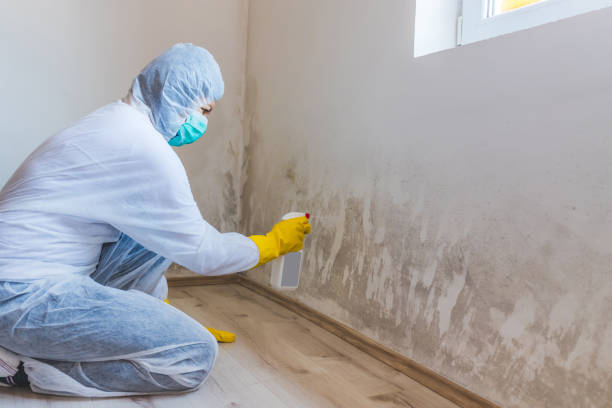 Mold Remediation specialist working in Stevensburg